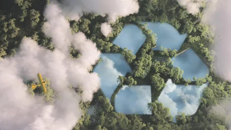 What does 'green' mean?