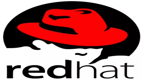 Redhat logo big2