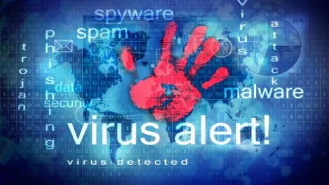 Outdated Java software #1 problem for Kiwis online