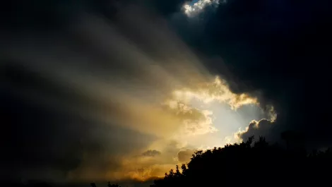 Thinkstockphotos 126464409