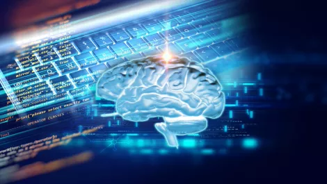 Move over, Silicon Valley: Two Kiwi companies are bringing AI to legal services