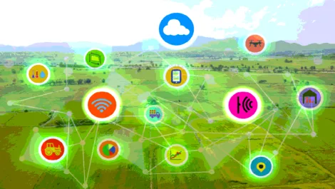 Screen shot 2017 06 15 at 5