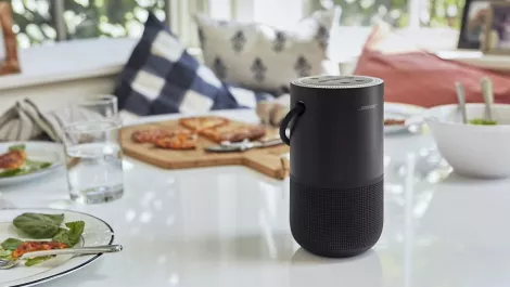 Portable home speaker black 2009 71