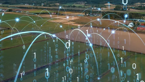 Rural industries failing to protect against cyber threats