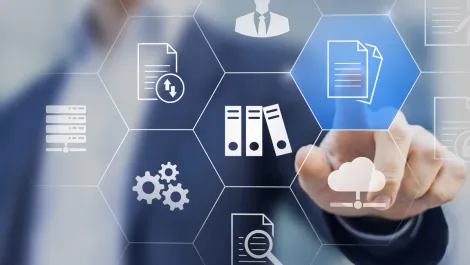 Taipan finds business success through Wiise ERP solutions
