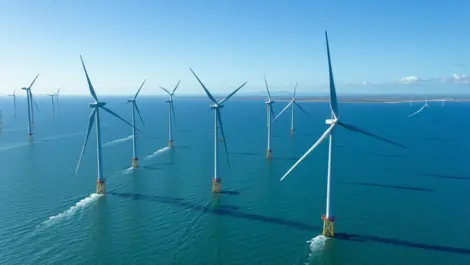 Techday e7440181451bed8a5d55