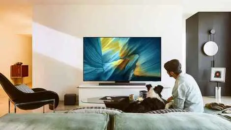 Samsung oled s95f 83 inch  1 