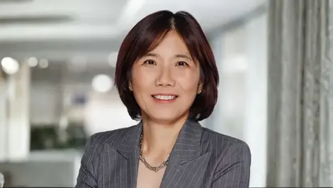 Mei dent